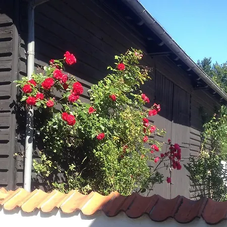 Skovridergaardens Apartman Aabenraa